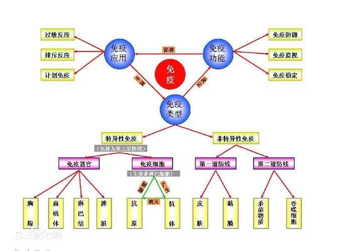 上呼吸道阻塞特点