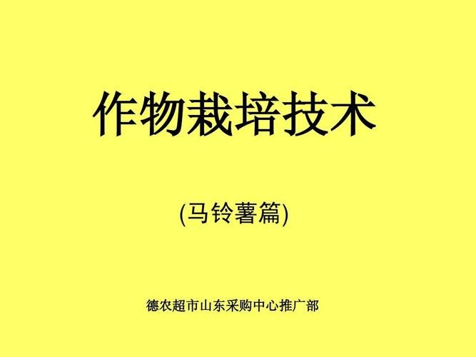 水果马铃薯的种植技术