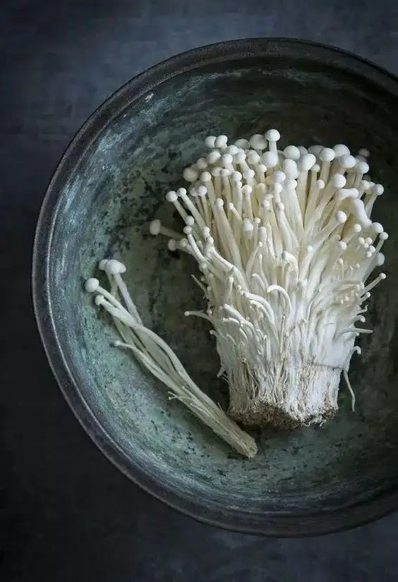 金针菇种植方法