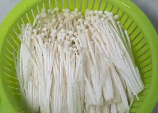 金针菇种植方法