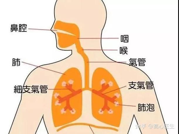 上呼吸道阻塞特点