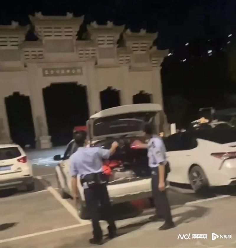 暹罗鳄苗价格
