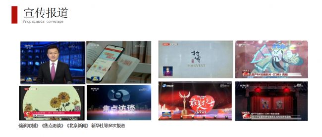 all in one seo