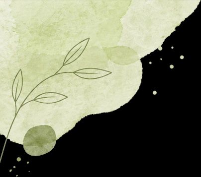豌豆苗种植技术