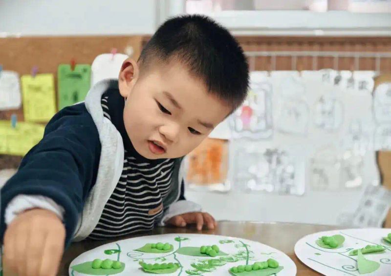 豌豆苗种植技术