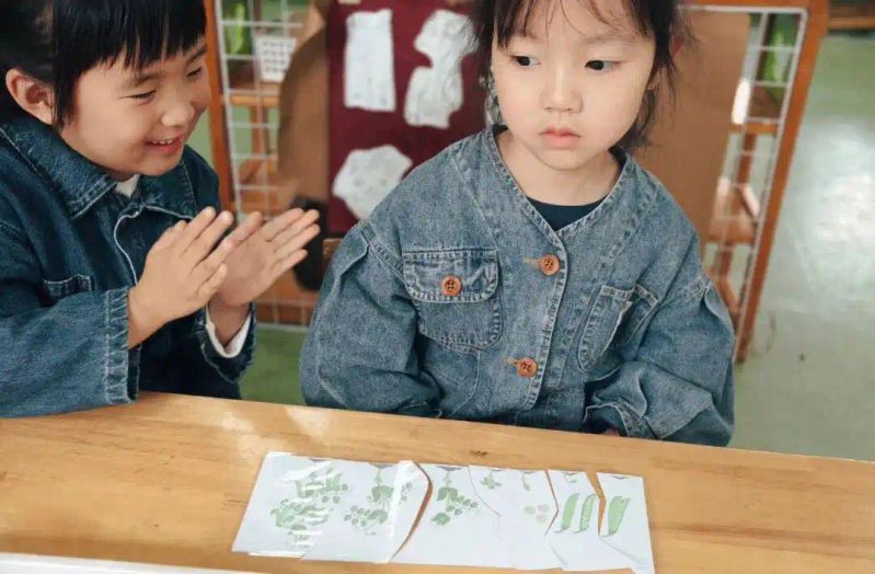 豌豆苗种植技术