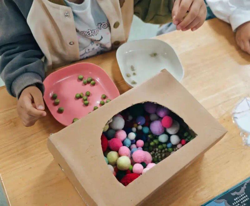 豌豆苗种植技术