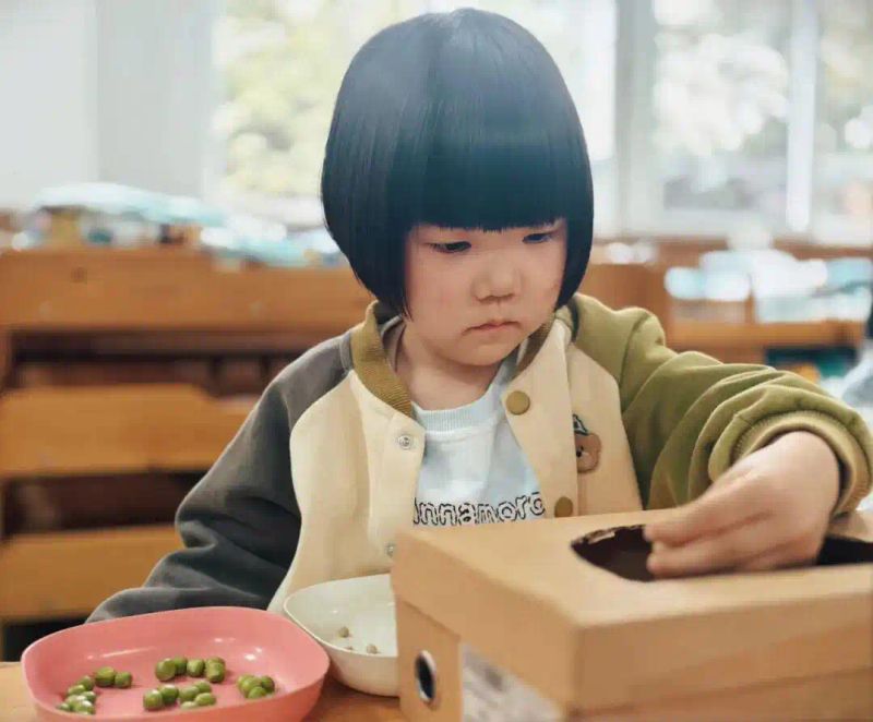 豌豆苗种植技术