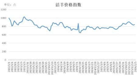 购买山羊幼崽价格