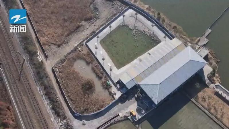 暹罗鳄苗价格
