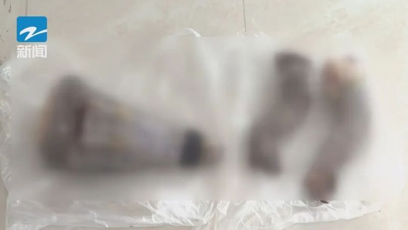 暹罗鳄苗价格