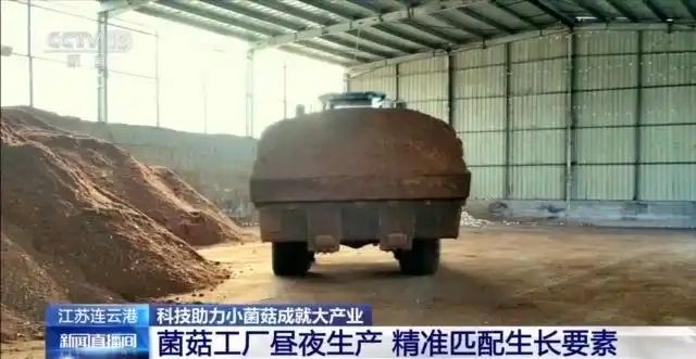 金针菇种植方法