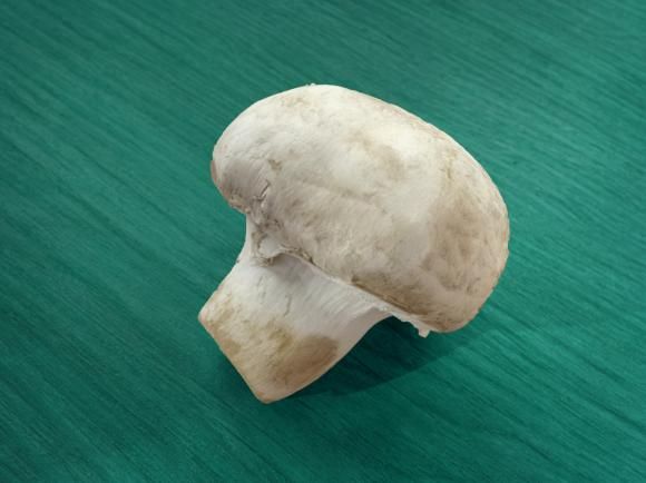 金针菇种植方法