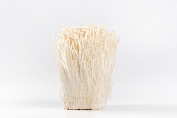 金针菇种植方法