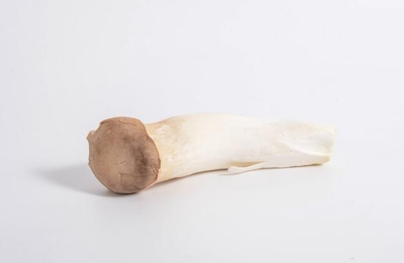 金针菇种植方法
