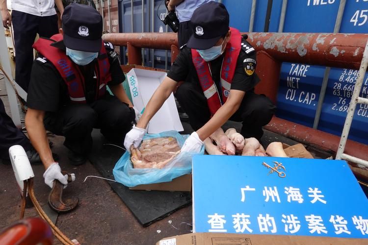 走私兰博基尼多少钱