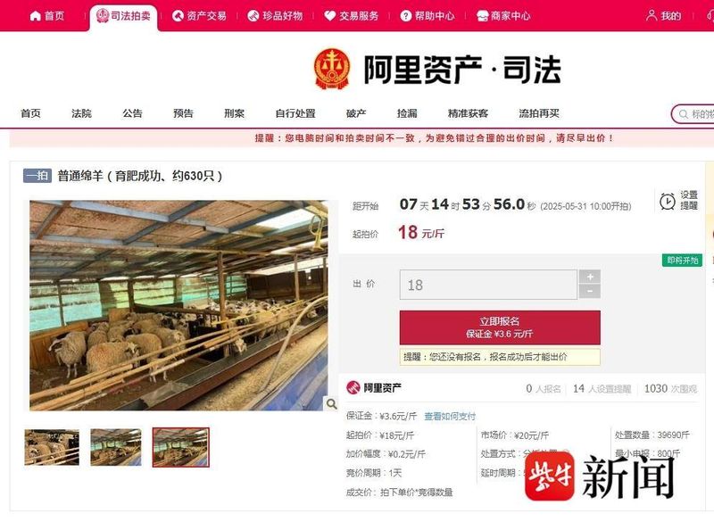 购买山羊幼崽价格