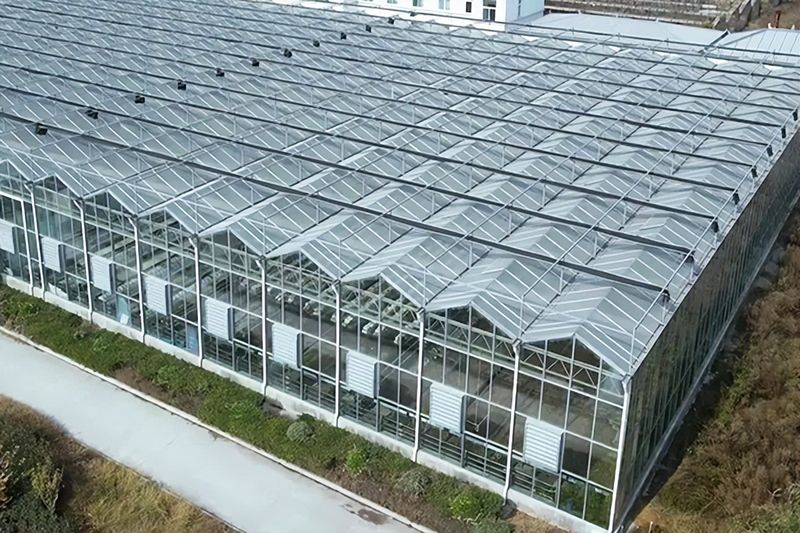 大棚种植水果