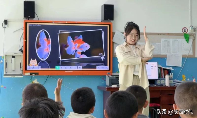 幼儿园大班规律排序教案