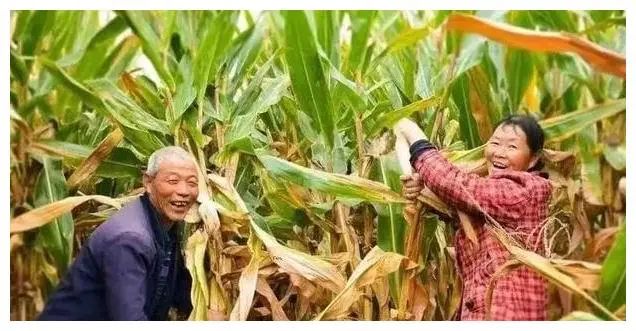 通古斯人种面貌特点