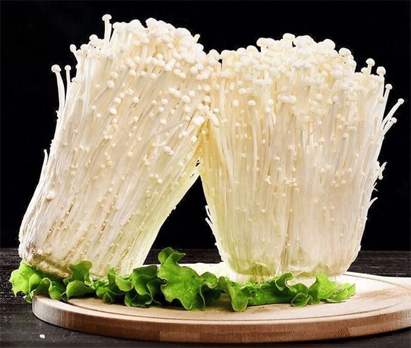 金针菇种植方法