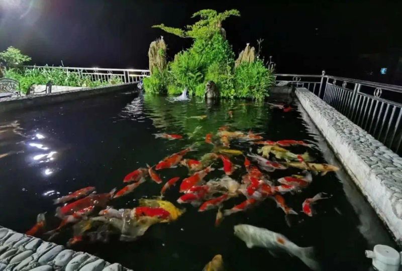 u型池术语