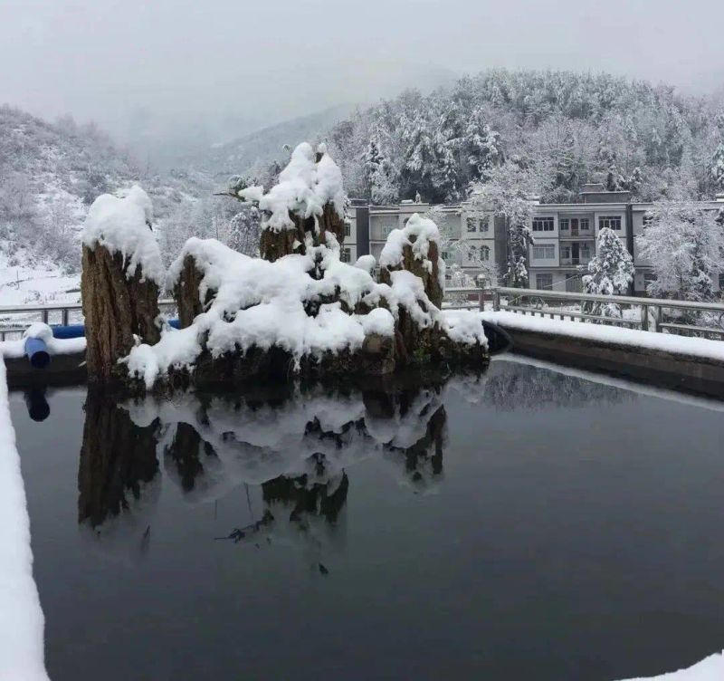 u型池术语