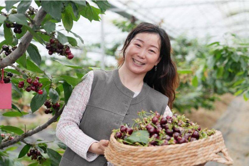 New species of fruit trees suitable for yang