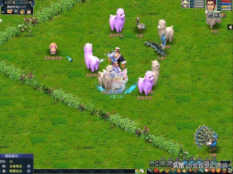 Dream west, experience