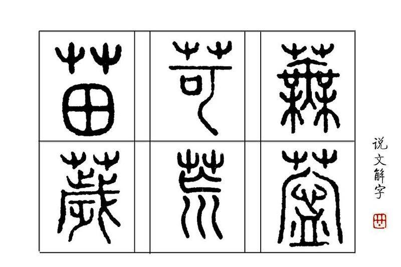 Sapling methods