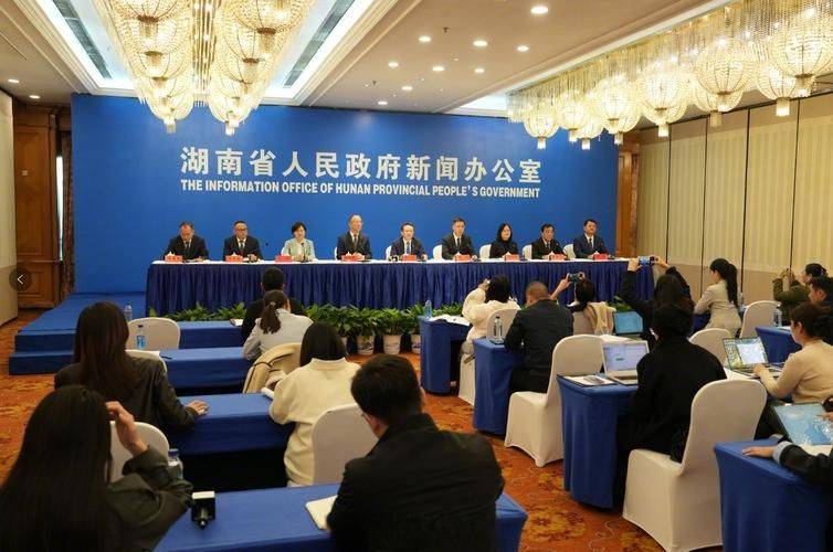 湖南网站优化