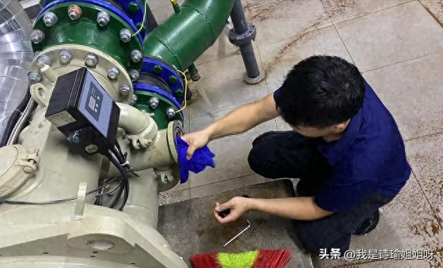 Figgle engine for oil