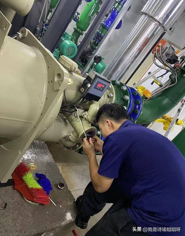 Figgle engine for oil