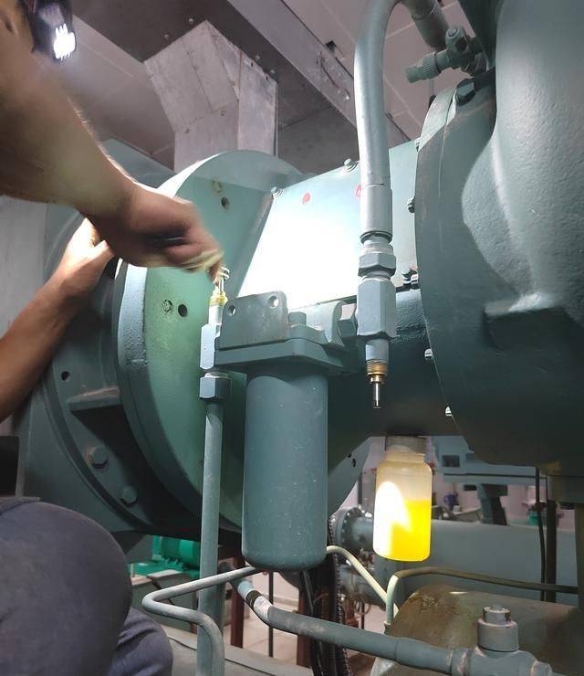 Figgle engine for oil