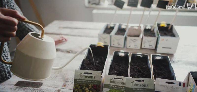 The method of planting the four-season beans on the balcony