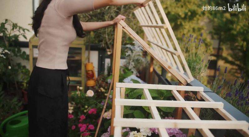 The method of planting the four-season beans on the balcony
