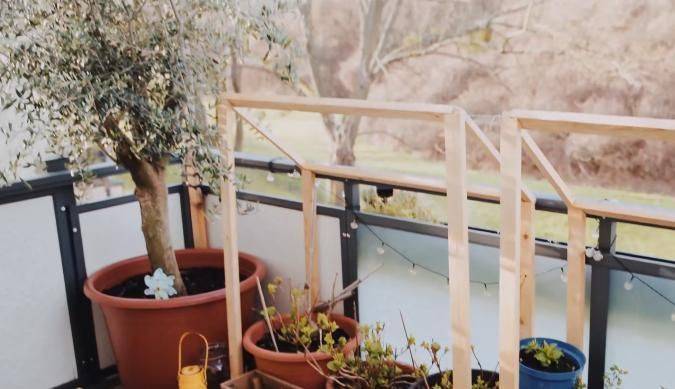 The method of planting the four-season beans on the balcony