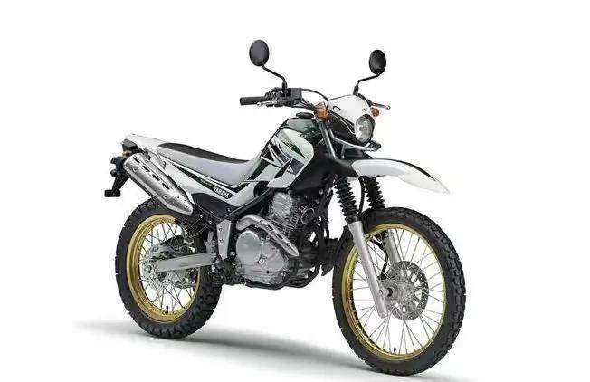 How much of yamaha king 250 gas pump? Money