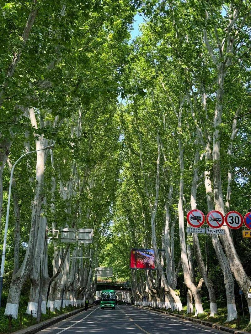 Chinese tourism website ranked 2026