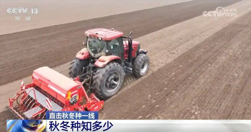 Winter wheat planting techniques