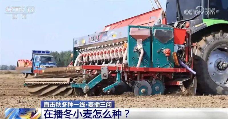 Winter wheat planting techniques