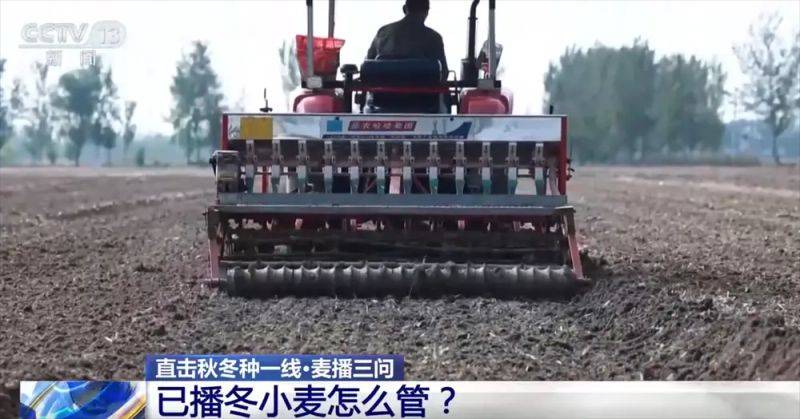 Winter wheat planting techniques