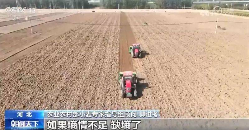 Winter wheat planting techniques
