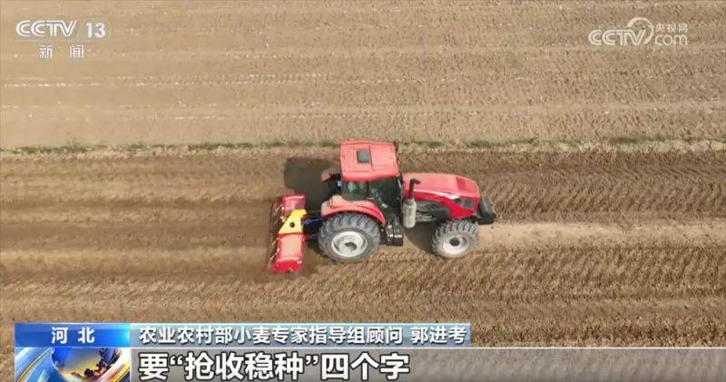 Winter wheat planting techniques