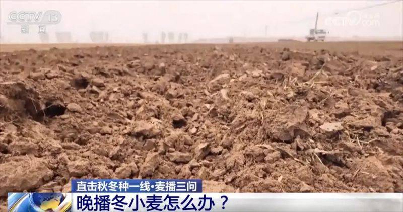 Winter wheat planting techniques