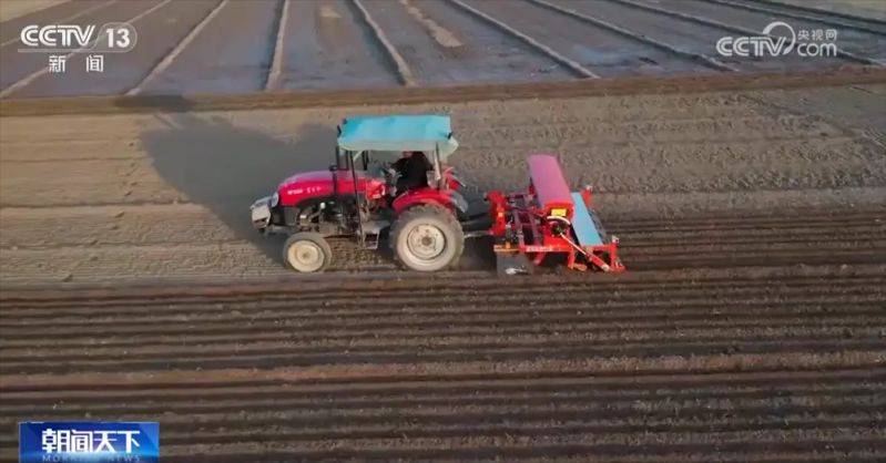 Winter wheat planting techniques