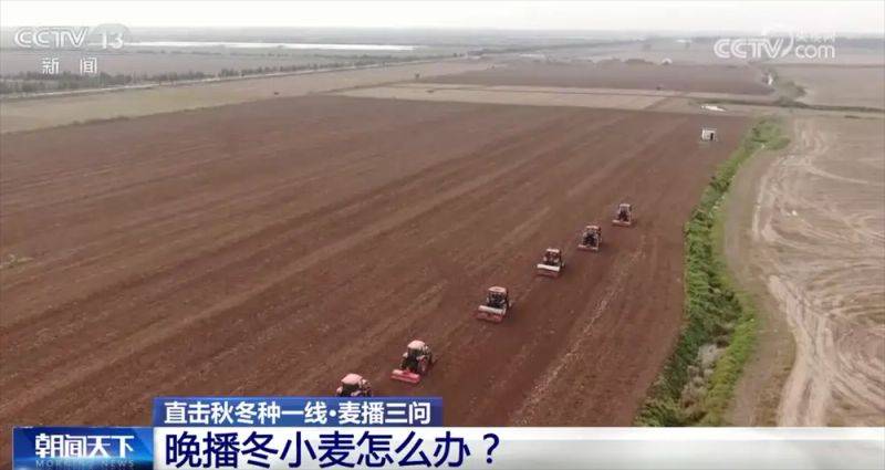 Winter wheat planting techniques