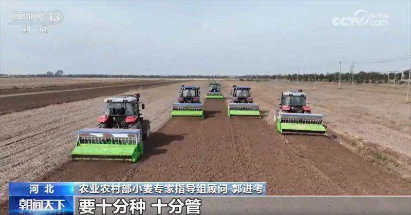 Winter wheat planting techniques