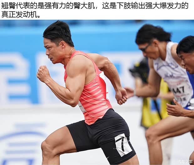 汽车尾翼的原理
