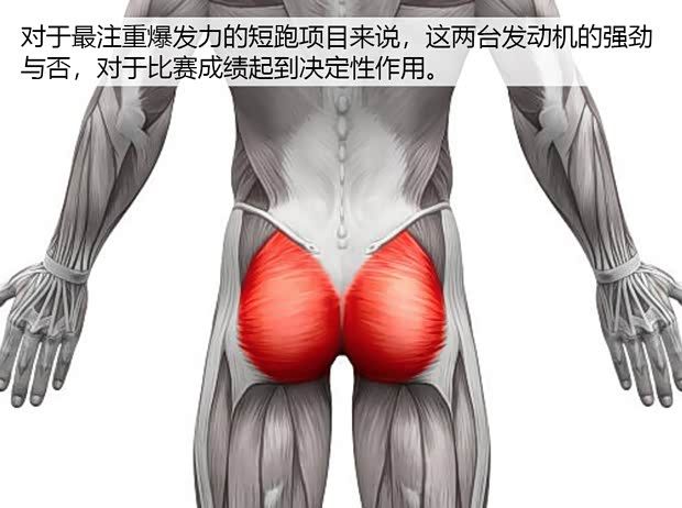 汽车尾翼的原理